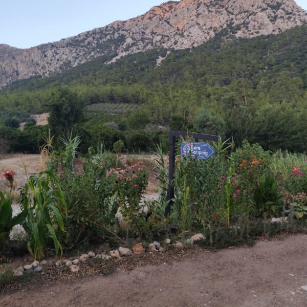 WhatsApp Image 2025-08-28 at 20.25.32