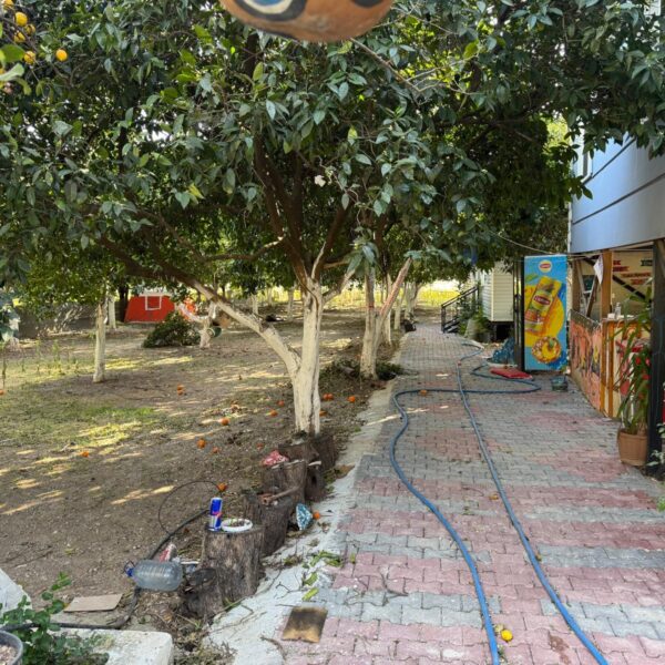 WhatsApp Image 2025-08-28 at 20.31.33 (2)