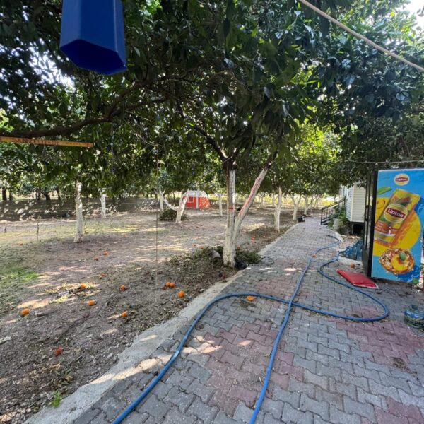 WhatsApp Image 2025-08-28 at 20.31.33 (4)